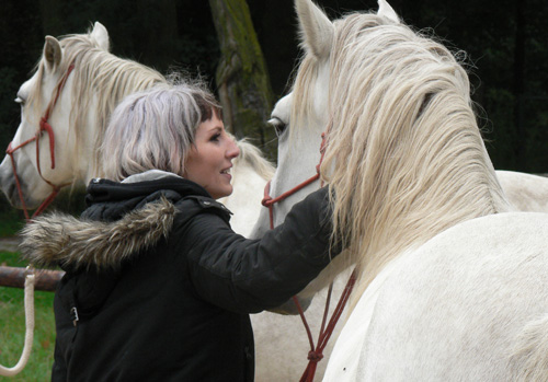 3 Dinge, die du von Pferden über Gefühle lernen kannst