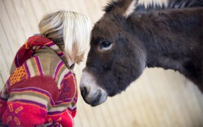 Die Liebe ist immer eine Aufforderung zur Anarchie