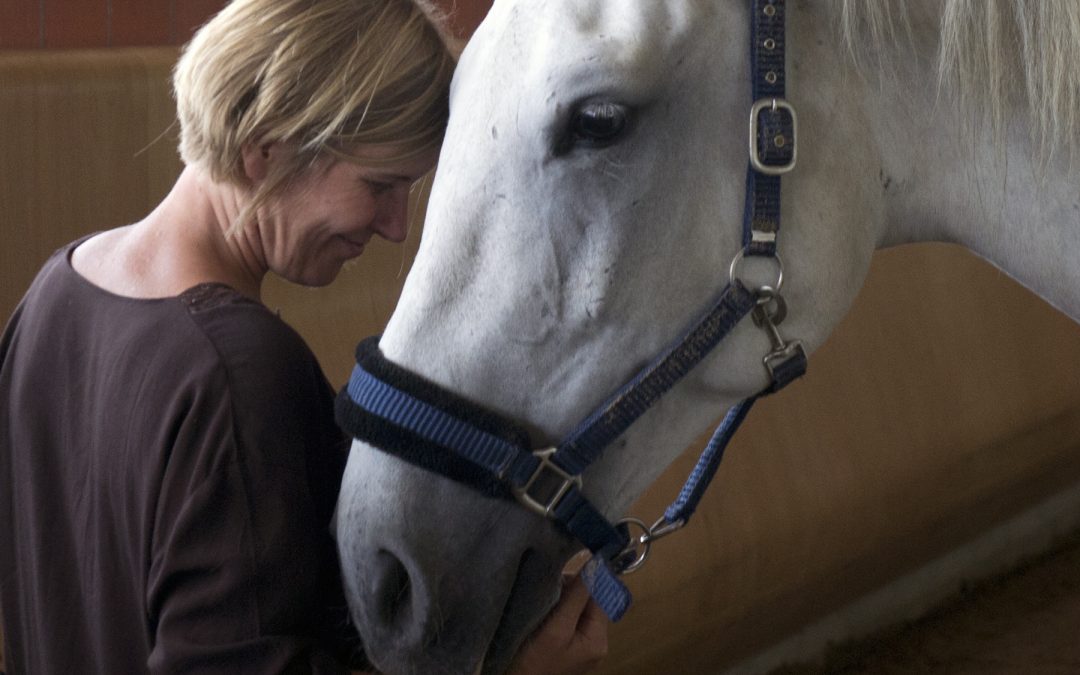 Nur die Liebe heilt – Wie Pferde gesund werden