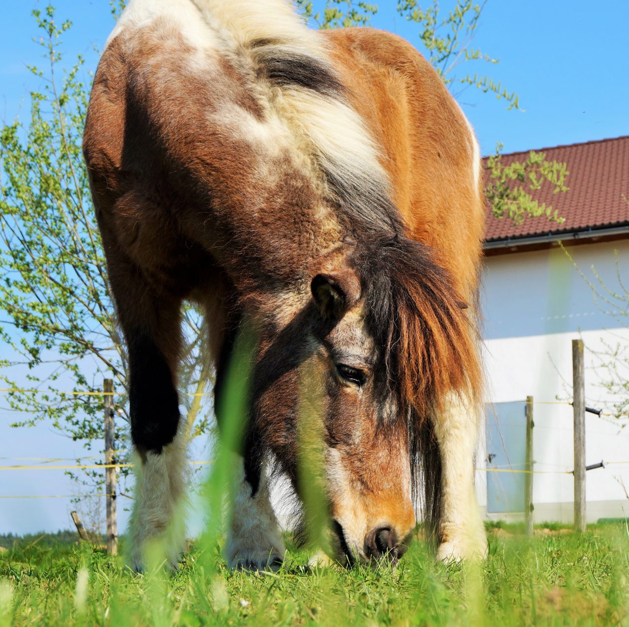 Jetzt wird’s schwierig …