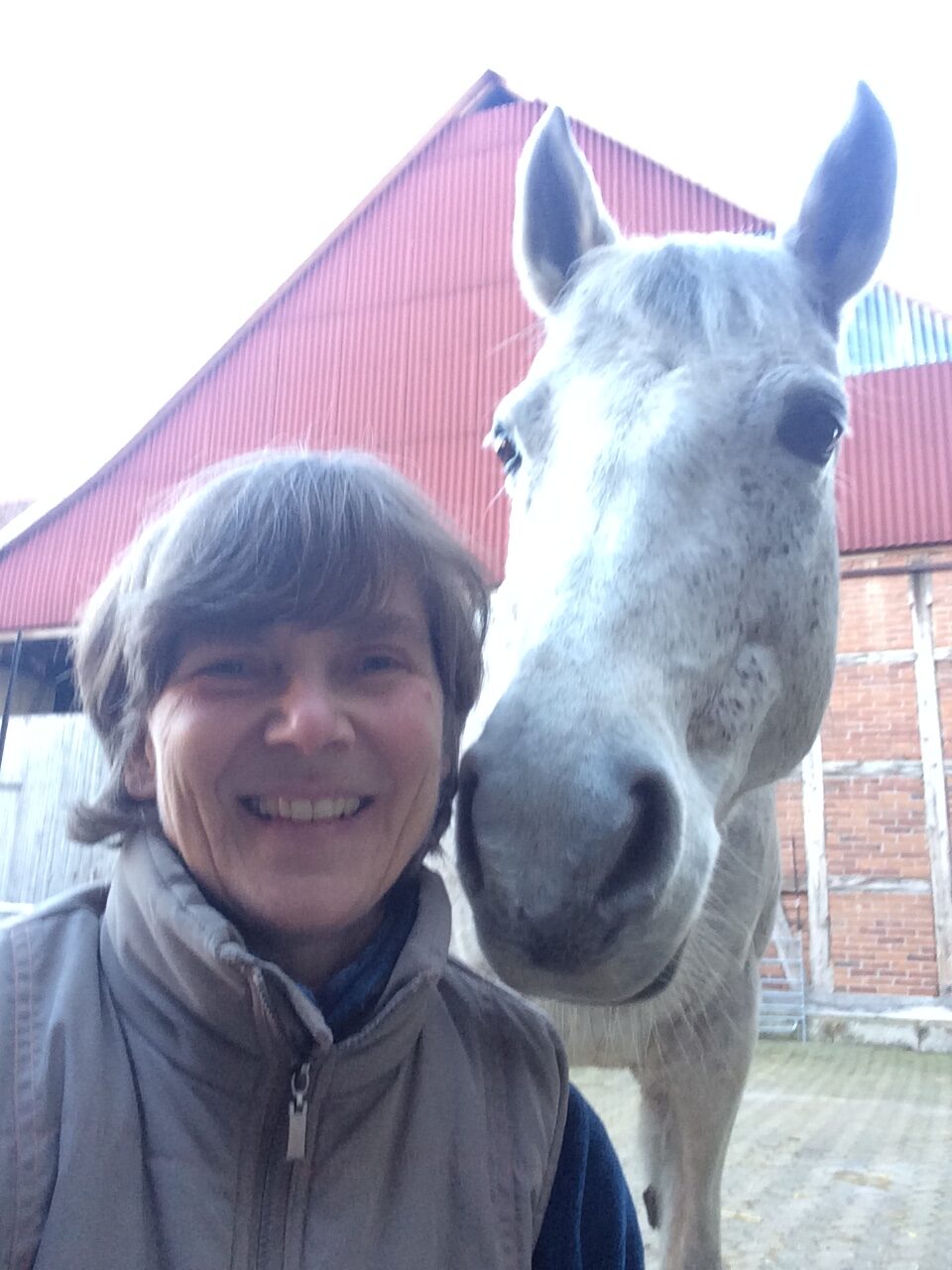 Heldenreise eines Lammes