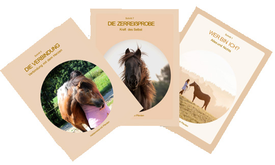 3 Karten aus dem Kartenset Heldenreise mit Pferden