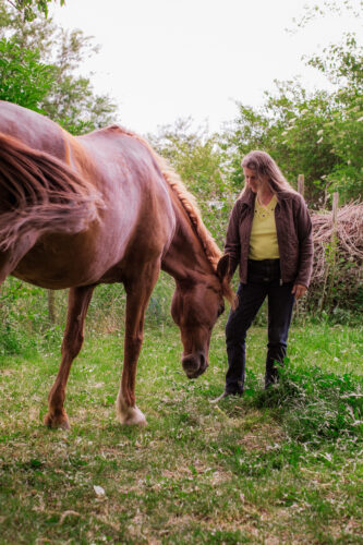 fuchsfarbenes Pferd mit M. Tömö
