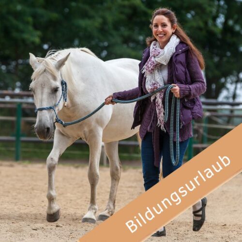 Bildungszeit mit Pferden